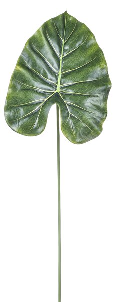 Set 12 Foglia Artificiali di Pothos H 66 cm