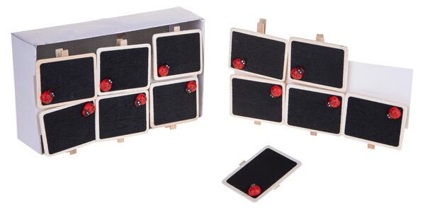 Set 12 Mollette con Lavagne Rettangolare e Coccinella Ø 6 cm