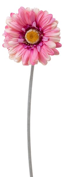 Set 12 Fiori Artificiali di Gerbera H 53 cm