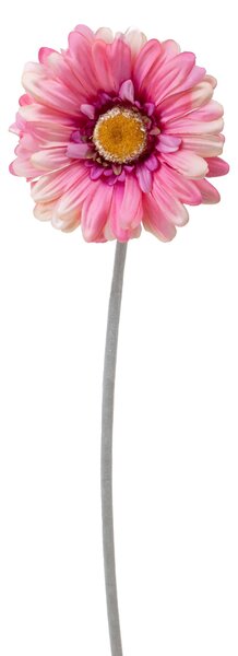 Set 12 Fiori Artificiali di Gerbera H 53 cm