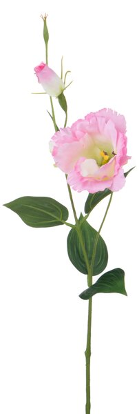Set 12 Rami Artificiali Lisianthus 2 Fiori H 60 cm