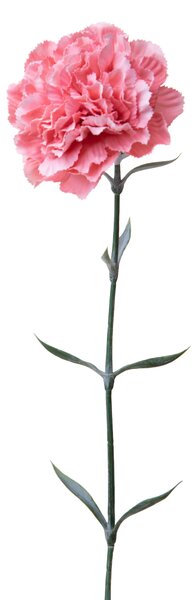 Set 12 Fiori Artificiali di Garofano H 67 cm