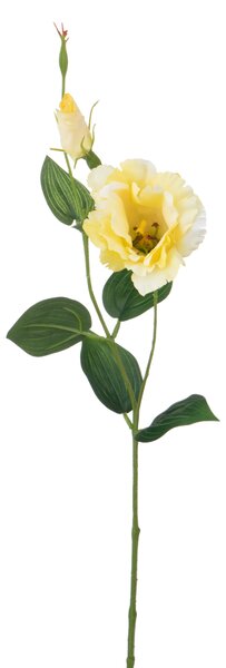 Set 12 Rami Artificiali Lisianthus 2 Fiori H 60 cm