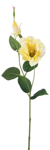 Set 12 Rami Artificiali Lisianthus 2 Fiori H 60 cm