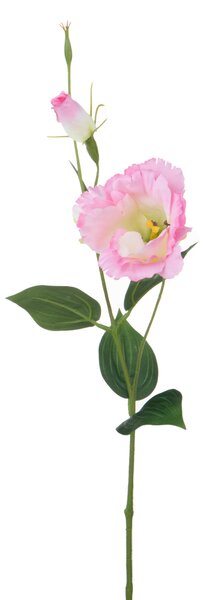 Set 12 Rami Artificiali Lisianthus 2 Fiori H 60 cm