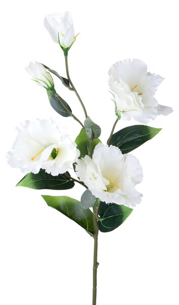 Set 12 Rami Artificiali Lisianthus con 5 Fiori 72 cm