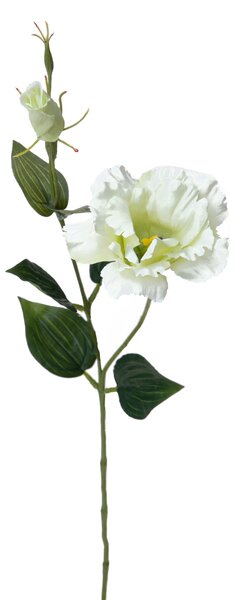 Set 12 Rami Artificiali Lisianthus 2 Fiori H 60 cm