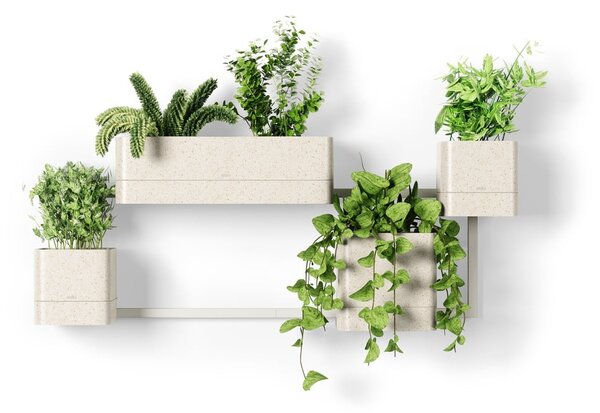 Set di vasi per fiori in plastica per erbe aromatiche/da appendere/parete 4 pz Cubiko – Umbra