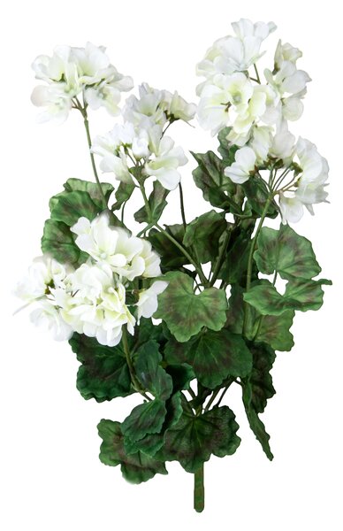 Set 2 Cespugli di Geranio H 54 cm