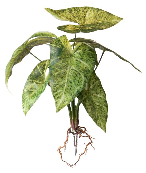 Set 2 Foglie Artificiali Alocasia Foglie 50 cm