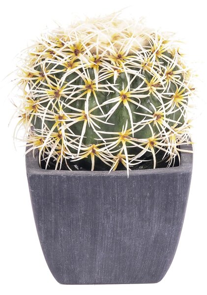 Set 2 Piante Artificiali Cactus con Vasi Ø 14 cm