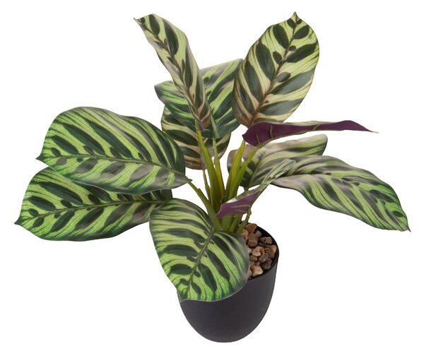 Set 2 Piante Artificiali Maranta 11 Foglie in Vasi 36 cm