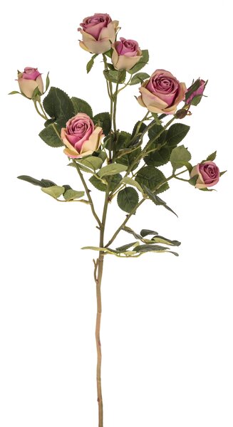 Set 2 Rami Artificiali con Rose H 74 cm