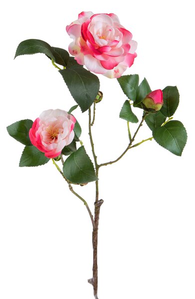 Set 2 Rami Artificiali Camelia Branch per 4 68 cm