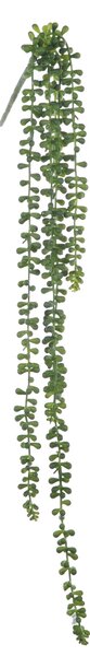 Set 2 Rami Artificiali Sedum Pendente con 5 Diramazioni H 74 cm