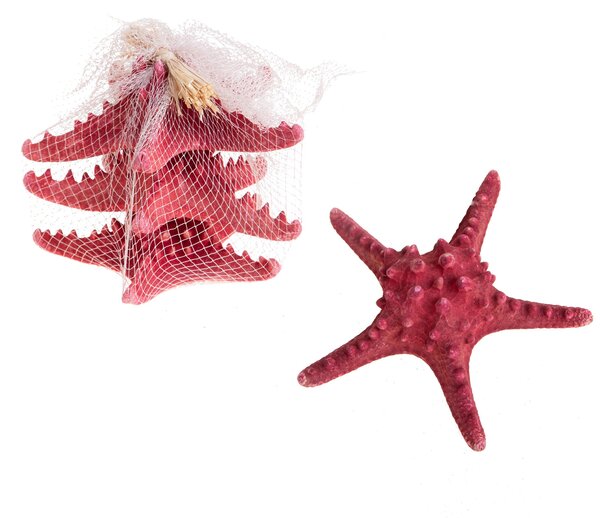 Set 6 Stelle 20 cm Colorata in Rete