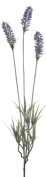 Set 24 Lavanda con 3 Fiori H 62 cm