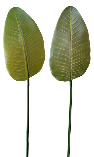 Set 3 Foglia Artificiali Banano 110 cm