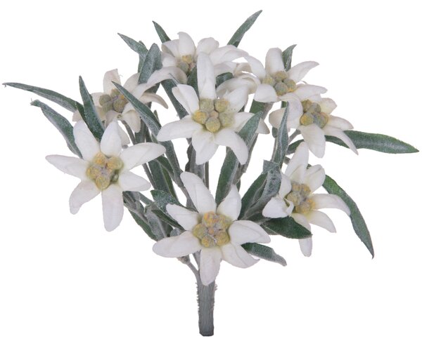 Set 3 Piante Artificiali Stelle Alpina Composta da 9 Fiori H 25 cm