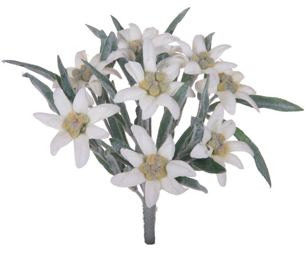 Set 3 Piante Artificiali Stelle Alpina Composta da 9 Fiori H 25 cm