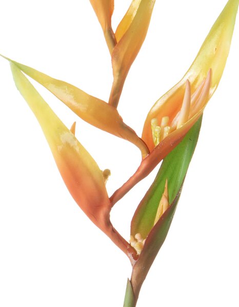 Set 3 Rami Artificiali Heliconia 83 cm