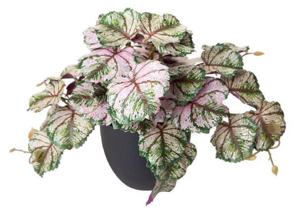 Set 3 Rami Artificiali Heuchera in Vasi 20 cm