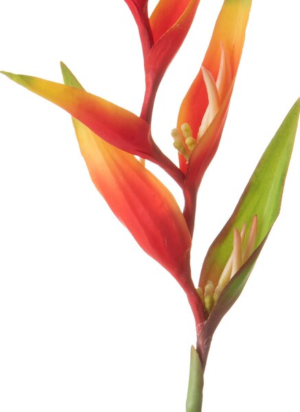 Set 3 Rami Artificiali Heliconia 83 cm