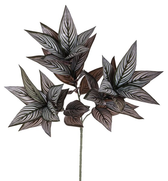 Set 3 Rami Artificiali di Foglia Calathea Composto da 39 Foglie H 70 cm