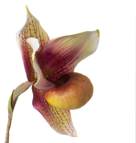 Set 3 Rami Artificiali Orchidea 64 cm Scarpetta con Foglie