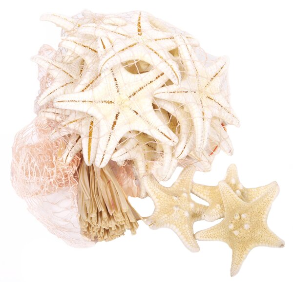 Set 60 Stelle Bianche in Rete H 7 cm