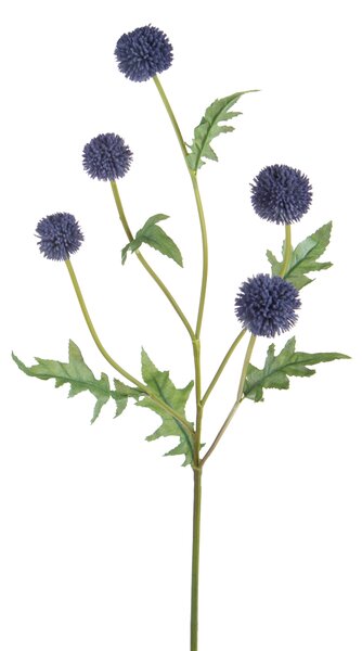 Set 4 Echinops per 5 74 cm