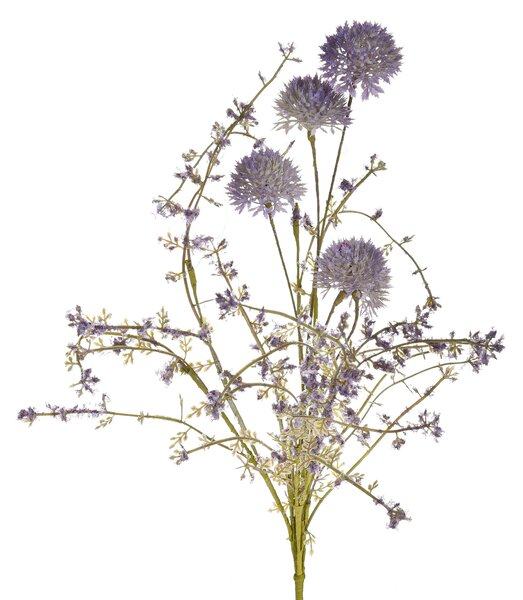 Set 4 Fascio di Limonium H 60 cm