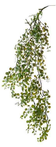 Set 4 Foglie Artificiali Dischidia Cadente 95 cm