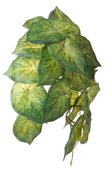Set 4 Foglie Artificiali Syngonium per 21 Foglie 18 cm