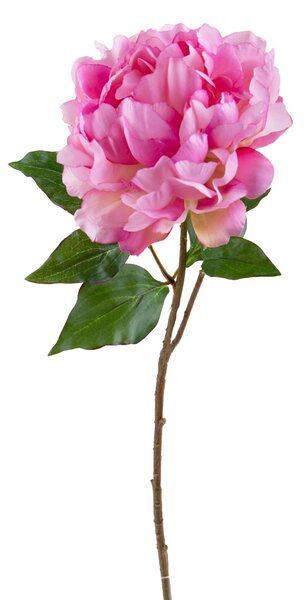 Set 4 Rami Artificiali Peonia Gigante H 57