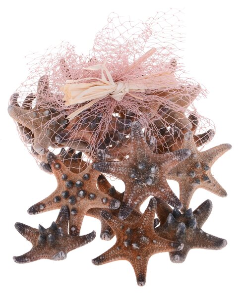 Set 80 Stelle Marine in Rete H 3 7 cm