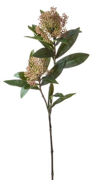 Set 4 Rami Artificiali Skimmia per 2 Fiori 72 cm