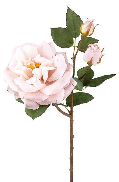 Set 4 Rose Artificiali Inglese H 48 cm