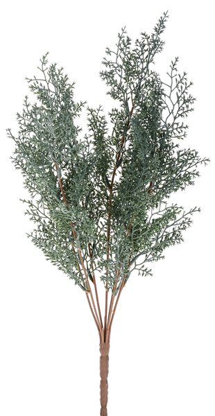 Set 6 Cespugli di Cipressina H 46 cm
