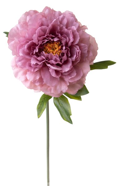 Set 6 Fiori Artificiali Peonia 65 cm