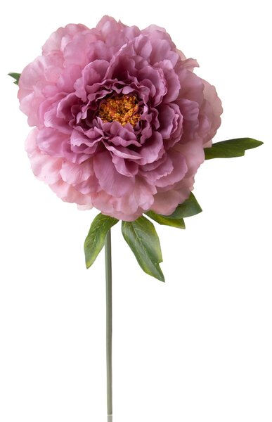 Set 6 Fiori Artificiali Peonia 65 cm