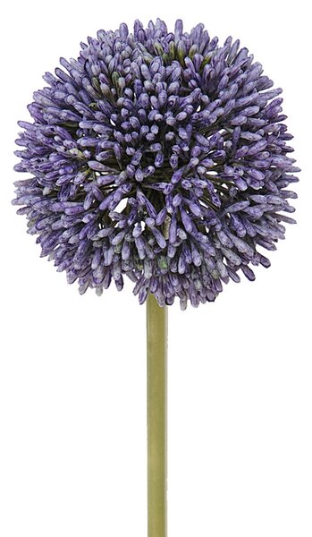 Set 6 Fiori Artificiali di Allium H 66 cm