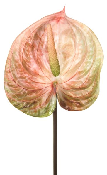 Set 6 Fiori Artificiali di Anthurium H 70 cm