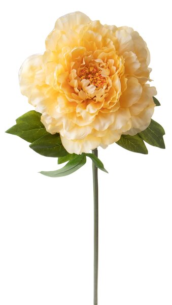 Set 6 Fiori Artificiali Peonia 65 cm
