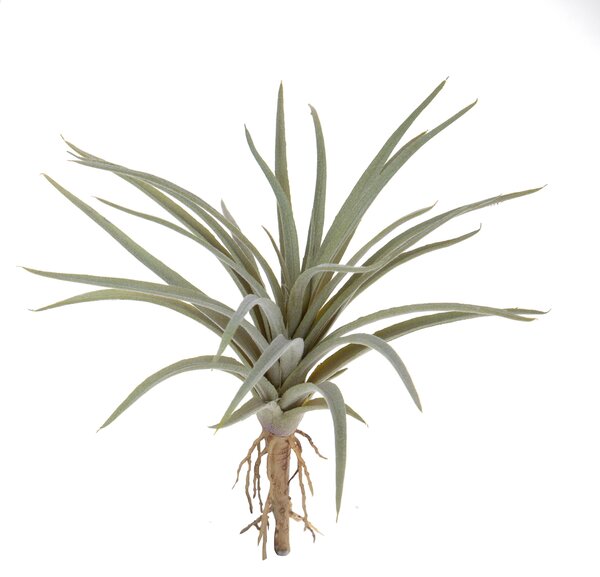 Set 6 Foglie Artificiali Tillandsia 16 cm