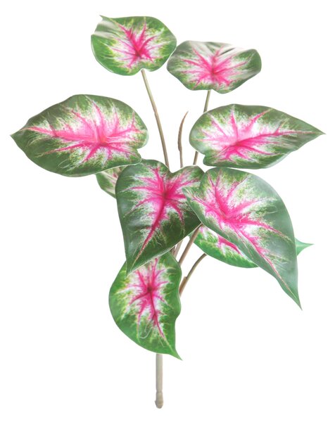 Set 6 Foglie Artificiali Syngonium 31 cm per 9 Real Touch