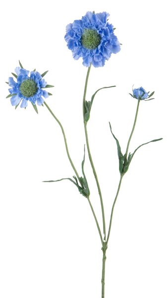 Set 6 Rami Artificiali Fiore di Scabiosa con 3 Diramazioni H 64 cm