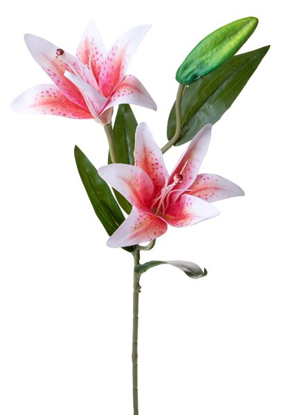 Set 6 Rami Artificiali Lilium x2 66 cm