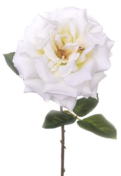 Set 6 Rose Artificiali Aperta H 50 cm