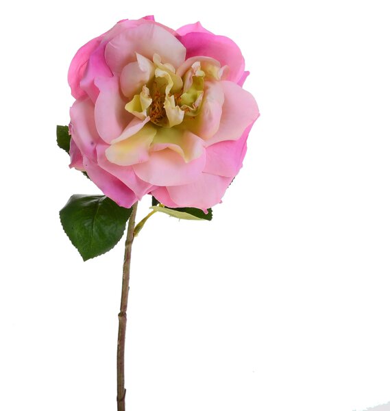 Set 6 Rose Artificiali Aperta H 50 cm